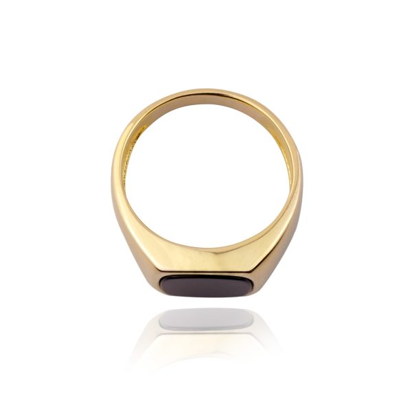 ANILLO BORRAS - Imagen 2