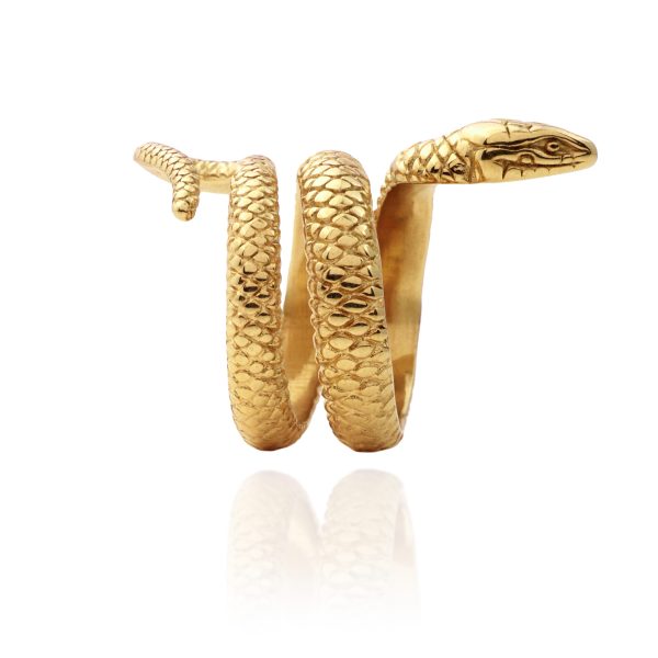 ANILLO MAKTUB - Imagen 2
