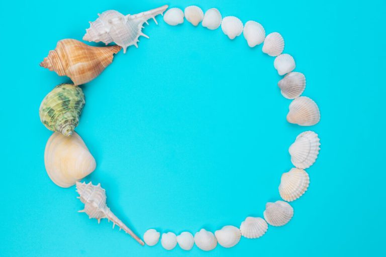 an entrejoyas verano joyas