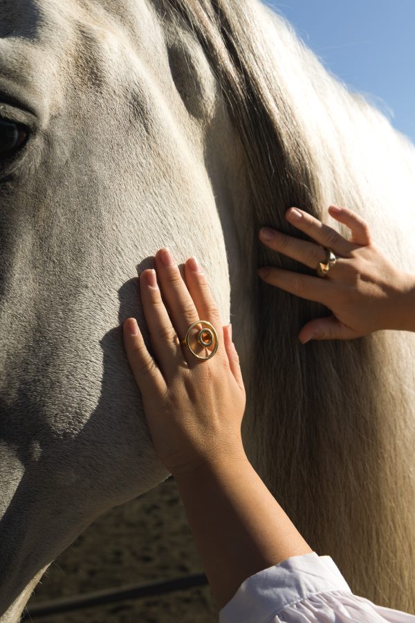 ANILLO CANTIK - Imagen 4